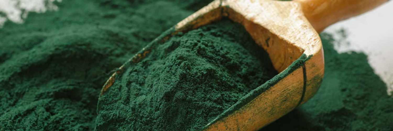 organic-spirulina-powder (1)